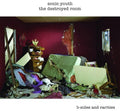 Sonic Youth: Destroyed Room - COMPACT DISCS
