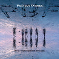 Peatbog Faeries: What Men Deserve to Lose - COMPACT DISCS