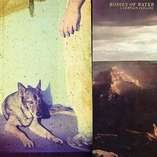 Bodies of Water: A Certain Feeling - {VINYL LP}