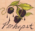 Perhapst: Perhapst - COMPACT DISCS