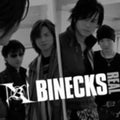 Binecks: Real - COMPACT DISCS