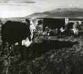 Mark Kozelek: Finally - COMPACT DISCS