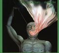Bruce Cockburn: Stealing Fire - COMPACT DISCS