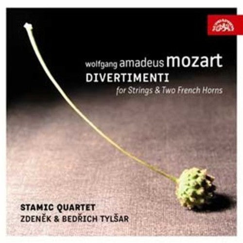W.a. Mozart: Divertimento for Strings & Two French Horns - COMPACT DISCS