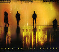Soundgarden: Down on the Upside - COMPACT DISCS