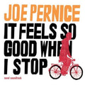 Joe Pernice: It Feels So Good When I Stop - {VINYL LP}
