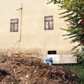 Celer: Mane Blooms - 7-INCH SINGLE