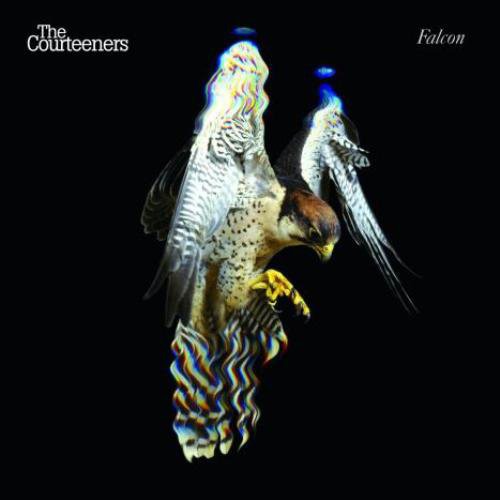 The Courteeners: Falcon - COMPACT DISCS