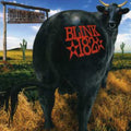 blink-182: Dude Ranch - COMPACT DISCS