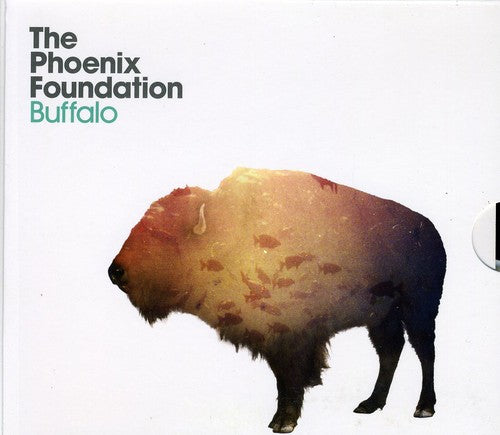 The Phoenix Foundation: Buffalo - COMPACT DISCS