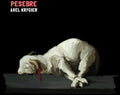 Axel Krygier: Pesebre - COMPACT DISCS