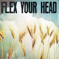 Various Artists: Flex Your Head - {VINYL LP}