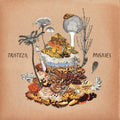 Tristeza: Paisajes - {VINYL LP}
