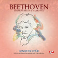 South German Philharmonic: Symphony 2 in D Major - COMPACT DISCS