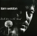 Liam Weldon: Dark Horse on the Wind - COMPACT DISCS