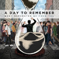 Day to Remember: What Separates Me from You - {VINYL LP}