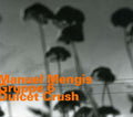 Manuel Mengis: Dulcet Crush - COMPACT DISCS