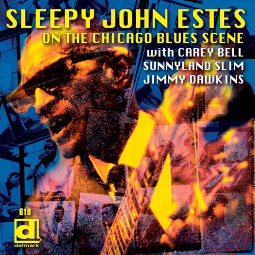 Sleepy John Estes: Brownsville Blues - COMPACT DISCS