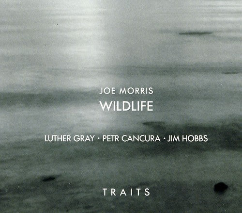 Joe Morris: Traits - COMPACT DISCS
