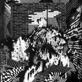 Gross Ghost: Public Housing - {VINYL LP}