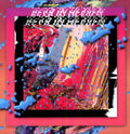 Bear in Heaven: I Love You, It's Cool - {VINYL LP}