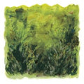 MayMay: Maymay - COMPACT DISCS
