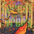 Forest for the Trees: Forest for the Trees - COMPACT DISCS