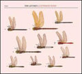The Liftmen: Luftwaffe Pond - {VINYL LP}