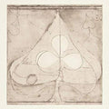 Grizzly Bear: Shields: Additions - {VINYL LP}