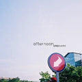 Afternoon: South Island - COMPACT DISCS