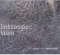 Andreas Mayerhofer: Introspection - COMPACT DISCS