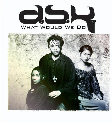 DSK: What Would We Do - COMPACT DISCS