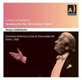 Beethoven / Celibidache: Sym 9: Rizzoli-Hoeffg - COMPACT DISCS
