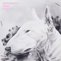 Terranova: Painkiller - 12-INCH SINGLE