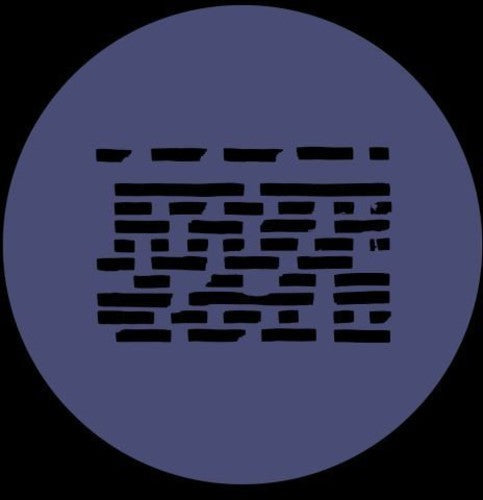 The Analog Roland Orchestra: Pattern One/Pattern Two - 12-INCH SINGLE