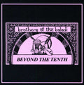 Brothers of the Baladi: Beyond the Tenth - COMPACT DISCS