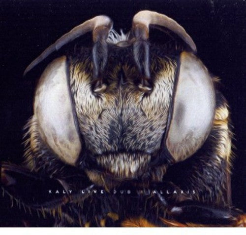 Kaly Live Dub: Allaxis - COMPACT DISCS