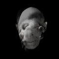 Jr. Juggernaut: Wake - {VINYL LP}