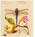 Les Lunes du Cousin Jacques: Solo & Trio Sonatas - COMPACT DISCS