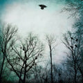 Over the Ocean: Be Given to the Soil - {VINYL LP}