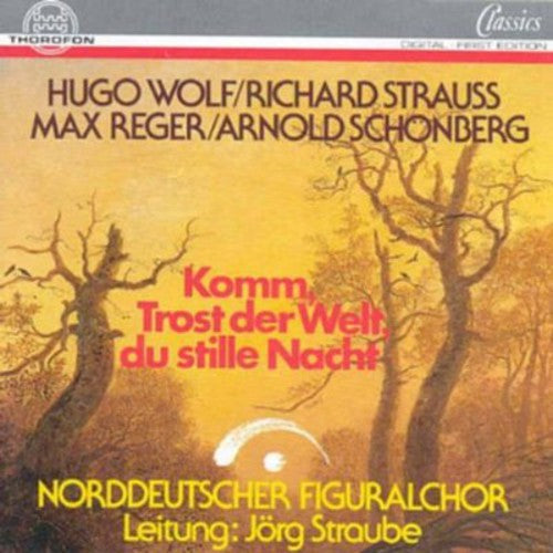 Wolf / Straube, Jorg: Come Consolation of the World - COMPACT DISCS