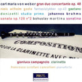 Weber / Donizetti / Gade / Brahms: Various Works for Clarinet & Piano - COMPACT DISCS