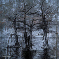 Nathan Bowles: Nansemond - COMPACT DISCS