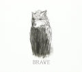 The Brave: Brave - COMPACT DISCS