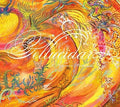John Zorn: Pellucidarna Dreamers Fantabula - COMPACT DISCS