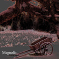 Magnolia: Svarta Sagor - {VINYL LP}
