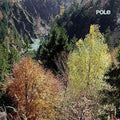 Pole: Wald - {VINYL LP}