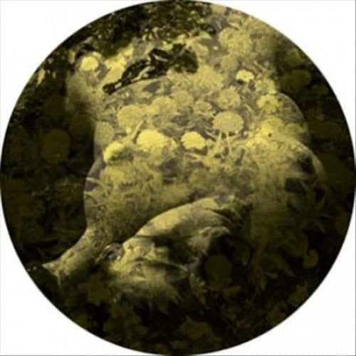 Salva: Yellobone - 12-INCH SINGLE