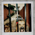 Boys Night Out: Black Dogs - {VINYL LP}
