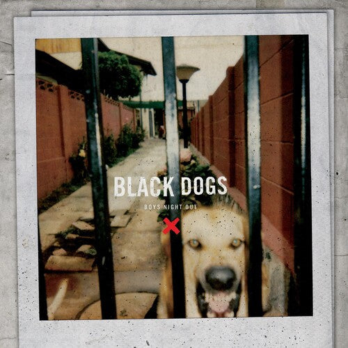 Boys Night Out: Black Dogs - {VINYL LP}